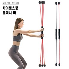 몬스터플렉시바