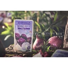 별도표기 국산 자색양파즙 섭취 간편한 순수 통양파 양파즙 부모님 건강을 위한 선물, 100ml