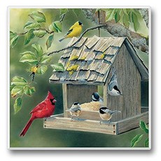Highland Graphics Inc. 기계 - 추기경 goldfinch 및 chickade oon birdfeeder hg02184, 본상품