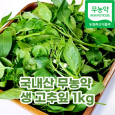 고춧잎