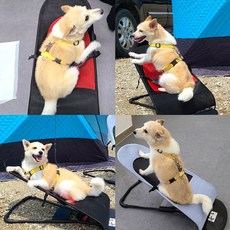 말썽쟁이여름 강아지 고양이 애견 애완견 대형견 개 반려동물 펫 접이식 캠핑 수면 야전 흔들 침대 천 해먹 베드 바운스 바운서, 블랙+해먹커버2개(블랙)