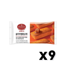 브레디크 솔티카라멜 휘낭시에 베이커리간식 45g x 9개