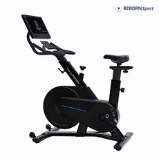 리본스핀바이크