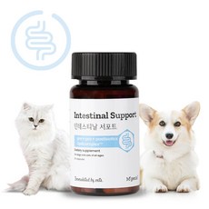 엠제닉스 인테스티날 서포트 강아지 고양이 유산균 면역력 변비 설사 장 영양제 프로 프리 포스트바이오틱스, 1개