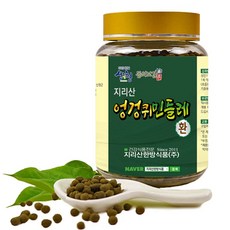 뿌리약초동의보감