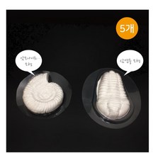 삼엽충