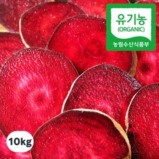 [부자농원] 땅의 힘으로 키운 100% 유기농 생 레드 비트 전남 해남 산지직송, 1개, 10kg (유기농 비트)