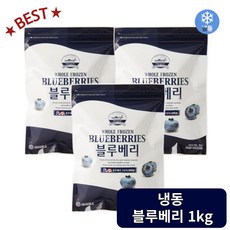 베리필드 칠레산 냉동 블루베리 1kg 냉동과일, 3개