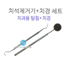 치석제거기 스텐 치경세트 치과용탐침 치경
