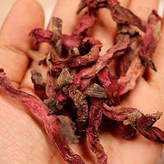 건비트 말린비트 비트말랭이 말린야채 비트건조, 1박스, 500g