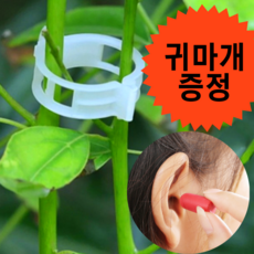 고추끈매는클립