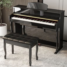 체르니디지털피아노