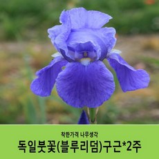 670be3e37559a1895935bc64886972def742b625f8a924eee064960ab1cb.JPG
