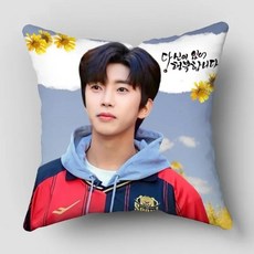 임영웅 베개커버 굿즈 쇼파쿠션 쿠션커버 효도선물 엄마선물