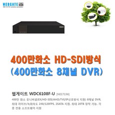 이지피스 EGPIS-HDB2124NIR(3.6mm) HD-SDI 카메라 외 추가상품, 8채널 녹화기(웹게이트 WDC6108F-U) - wdc6108f-u