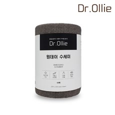 다클린원데이수세미