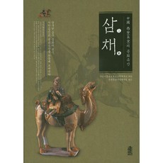 중국 시안의 문화유산: 삼채, 한국학술정보