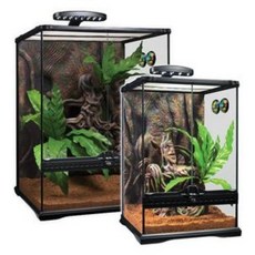  엑소테라 EXO-TERRA 303045 크레스티드게코킷 (파충류사육장 파충류채집통 엑소테라사육장 엑소테라채집통 채집통) 