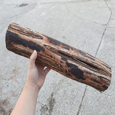 뉴런 촐라 우드 유목 약45cm ~ (퀄리티 죽여줍니다)