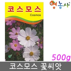 코스모스 씨앗 500g 코스모스씨 종자, 코스모스 500g