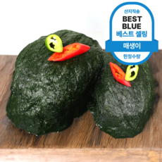 [상위 1% 명인] 당일바리 매생이 생매생이 찰매생이, 10개, 120g