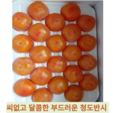 [국내산] 부드럽고 달콤한 씨없는 청도반시 제철 감 연시 홍시 대봉감 대봉시, 1개, 2.5kg(중대과-16~17과)