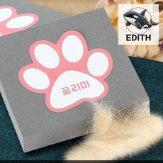 고양이털 제거 청소기 개털 빠짐 강아지털 관리 고양이털청소 강아지빗 털제거기 강아지브러쉬 강아지미용 털청소기 고양이털제거기 강아지털청소 강아지털제거기, 1개