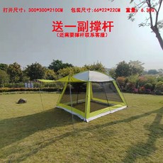 홀리데이스타300