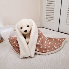 몰리강아지이불