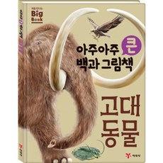 어린이 과학책 아주아주 큰 백과 그림책 고대동물