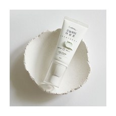 오늘부터어성초