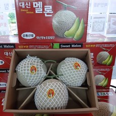 얼스멜론