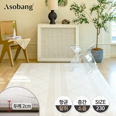 아소방230