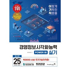 가을책방 2025 이기적 경영정보시각화능력 POWER BI 실기, [단일상품]