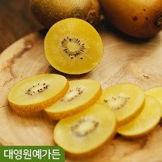 골드키위묘목 TOP01