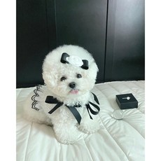 샤넬강아지옷
