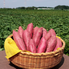 [황홀한 꿀맛] 베니하루카 꿀고구마, 1박스, 5kg(중상 50g~100g)