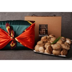 솔송화버섯 프리미엄 선물세트 고급형 1kg 설 선물 명절선물세트 번덕뜰 솔송버섯, 1개