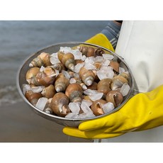 아빠가사온해물