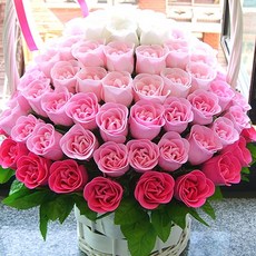 지나로즈 생일 기념일 프로포즈 꽃 선물 비누 장미 비누꽃바구니 100일기념 비누꽃, 핑크마린100송이