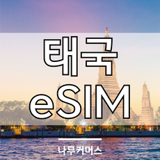 태국 eSIM 이심 AIS DTAC 데이터 통화, 총량5GB, 10일