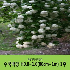 b2e8b6534bf2061a5faa66bdd18fbda96b0c1a1256ee4b3320766e64f82c.JPG
