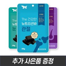 대상고양이그란데소형60