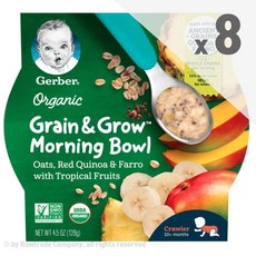 거버 10개월+ 귀리 레드퀴노아 열대과일 모닝볼 이유식 128g x8팩 Oats Farro Tropical Fruits, 1p, 귀리+레드퀴노아+열대과일 혼합맛