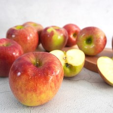 [더조은] 아리수 사과 가정용 5kg 16-18과, 단품