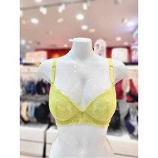 비비안소노르골지