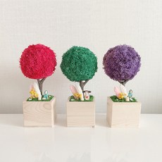 그늘에서잘자라는식물