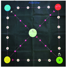 프리원 플라잉디스크 T009-1 윷놀이 말판 (천), 1개