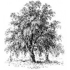 271e041f16035090f4e05d54e05130ed9653560220b7f9bd19acac7723e0.jpg