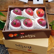 첫출하! 제주도 애플망고 3kg(5~6수/특대 고급이중포장선물용) 과일의황제